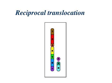 Ppt Medical Genetics Powerpoint Presentation Free Download Id 5183071