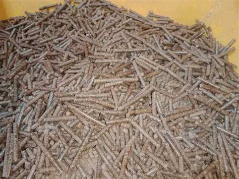 Natural Round Shape Biomass Pellet At Best Price In Katni Gomatha