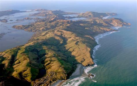 Otago Peninsula Safari - Visit The Famous Five - Otago Peninsula Trust