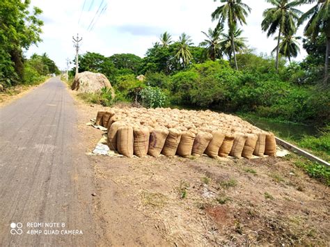 బీపీటీ-5204 అధరహో.. | BPT-5204 Adharaho..