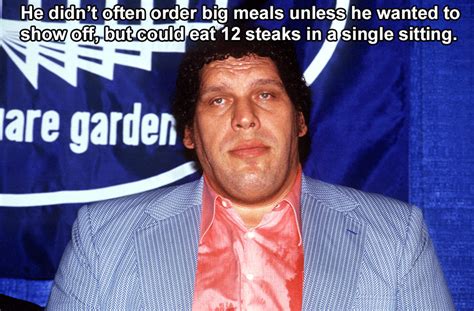 26 Andre The Giant Facts You'll Hardly Believe Are True