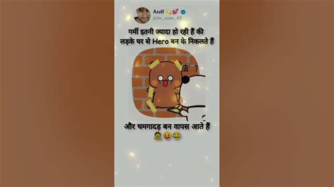 चमगादड़ Gomu 🧟😂 Peach And Goma😍 Whatsapp Status Cute Teddy Status