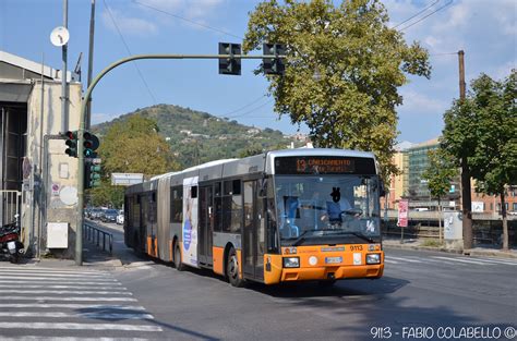 TPLITALIA.IT