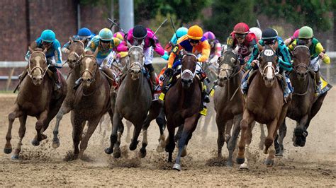 The Basics of Horse Racing - Galaxieholly.com