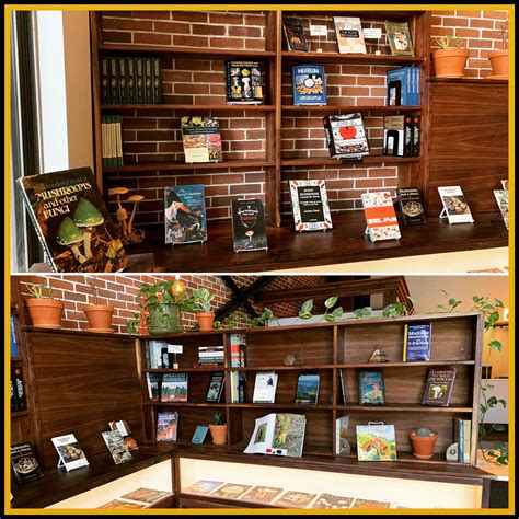 Lion's Mane Mushroom Psychedelic - RYZE Superfoods