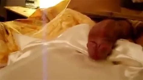 Longsleeve Leotard Cum Gay Crossdresser Masturbation Porn Xhamster