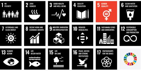 Exploring The Un Sustainable Development Goals — Goal 5 Gender Equality Franco Harris