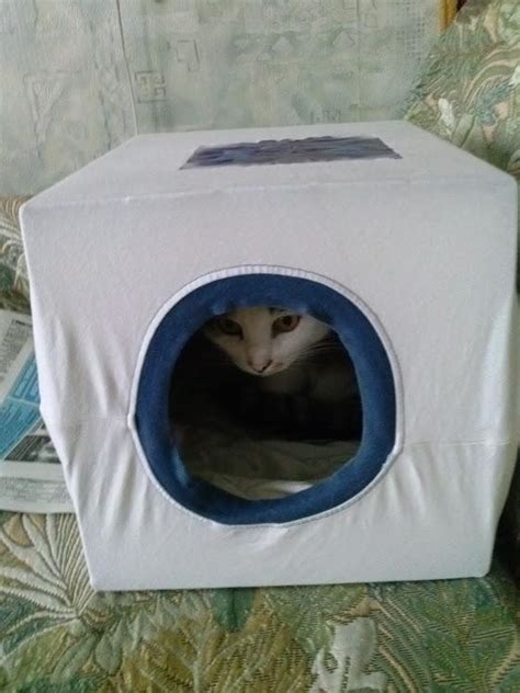 Дома для котов: большие и красивые домики для кошек