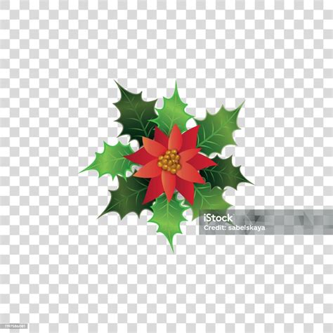 Red Poinsettia Flower With Green Leaves Colorful Christmas Holiday