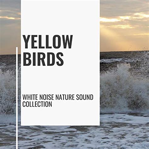 Amazon Music Ocean Sounds Yellow Birds White Noise Nature Sound