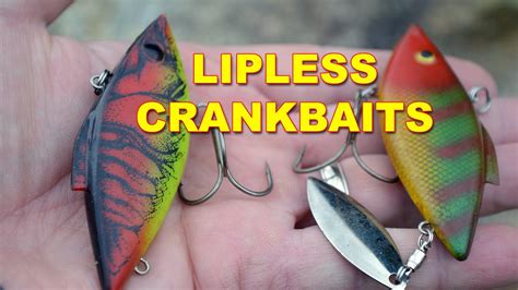 Lipless Crankbaits Best Rod Reel And Line Combo How To Bass