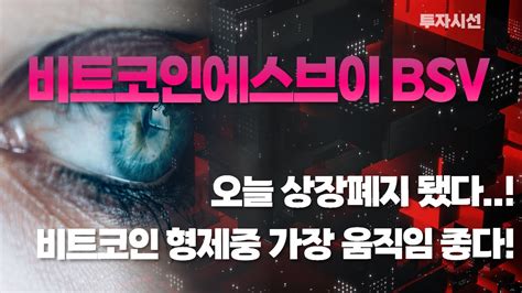 비트코인에스브이 Bsv 코인ㅣ비트코인 형제중 가장 움직임 좋다 Etf 승인되면 가장먼저 올라간다 Youtube