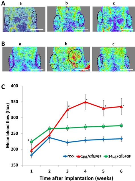 Figure From Adipogenesis Using Human Adipose Tissue Derived Stem