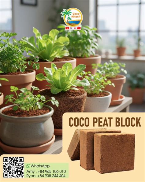 coco peat block manufacturer  viet nam coco hitech