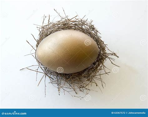 Giant Golden Egg Stock Photo Image Of Gold Wealth Bird