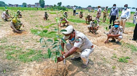 Up Govt Says It Planted Cr Tree Saplings In A Day Hit Bn Target