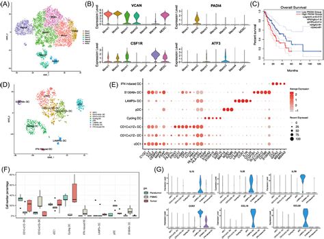 Singlecell Transcriptomic Analysis Deciphers Key Transitional