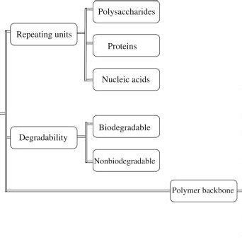 Classification Of Biopolymer According To Their Degradability