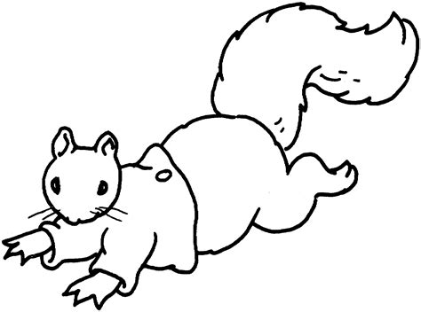 Free Squirrel Coloring Pages