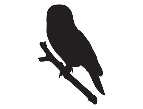 Owl Silhouette Vector Images (over 12,000)