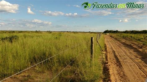 Fazenda Pista De Pouso Na Jaiba Fazendas Fazendas Em Minas