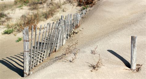 Les D Chets Du Rh Ne L Embouchure Jusqu Aux Plages Echosciences