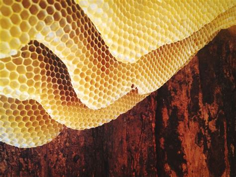 Trypophobia A Fear Of Holes Cnn