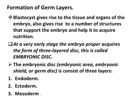 Germ Layers Ppdf