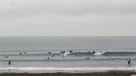 波情報 湘南 手首ウェットブロックスキン サーフボードクオリティーハードコア Quality Hardcore