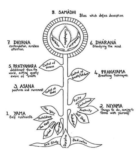 Eight Limbs of Yoga - RajRAS | RAS Exam Preparation