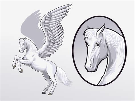 Premium Vector | Pegasus drawing for illustration and design element