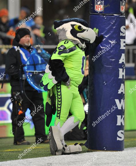 Seahawks Mascot Costume