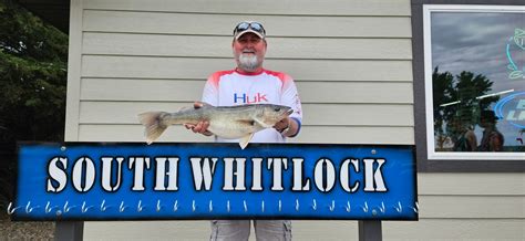 Lake Oahe Fishing Report - Gettysburg - Whitlock Bay