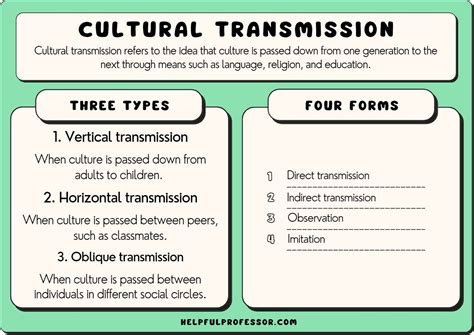 Cultural Transmission: Definition, Types and Examples (2025)