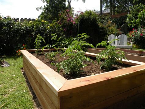 How To Make Box Vegetable Garden At James Lecompte Blog