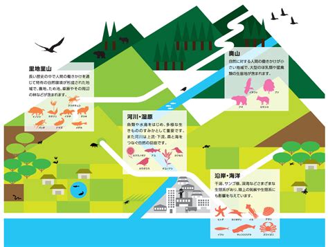 生物多様性について考えてみませんか？ 熊本市ホームページ