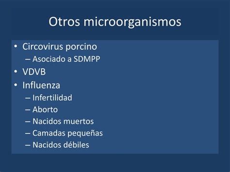 Enfermedades Infecciosas Reproductivas De Los Cerdos Ppt Descarga