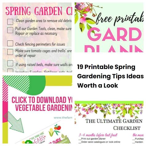 Printable Spring Gardening Tips Ideas Worth A Look Sharonsable