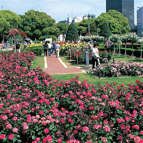 Gage Park Rose Garden