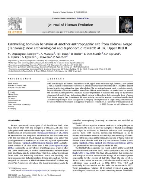 (PDF) Unraveling hominin behavior at another anthropogenic site from ...