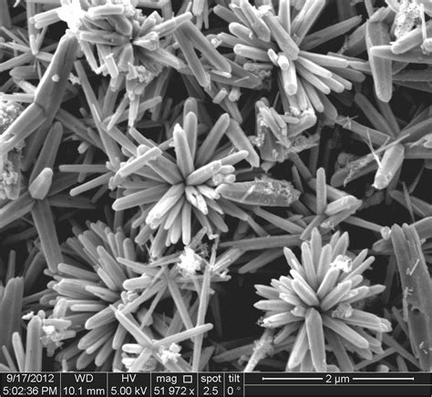 Zinc Oxide Flowers Sem Image Of Zinc Oxide Flowers Synthes Flickr