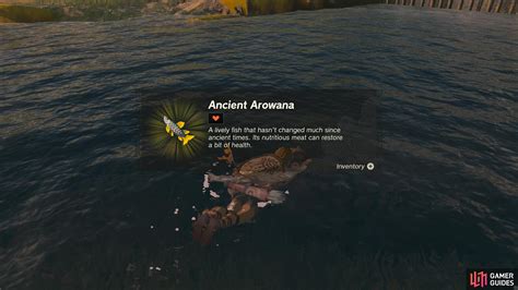 Ancient Arowana The Legend Of Zelda Tears Of The Kingdom Database