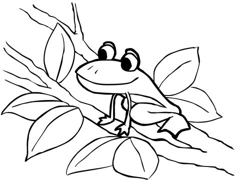 Frog Coloring Pages Printable