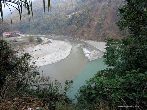 Triveni Confluence Of The Brown River Teesta And Green R Flickr