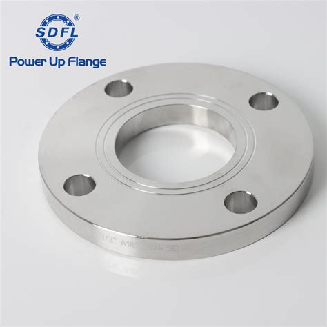 Jis B2220 2012 Standard Forged 304l 150k Stainless Steel Plate Flange China Plate Flange And