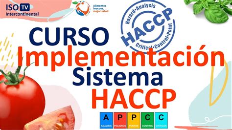 Curso Gratis Implementaci N Haccp Appcc Inocuidad Alimentaria Youtube