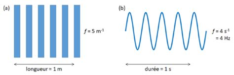 Chapitre 3 Psychophysique Flashcards Quizlet