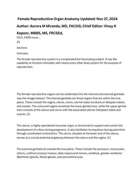 women reproductive organ anatomy