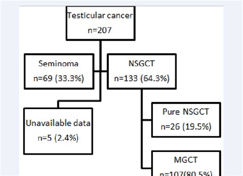 Distribution Of Testicular Cancer Cases Which Have Been Treated In Our