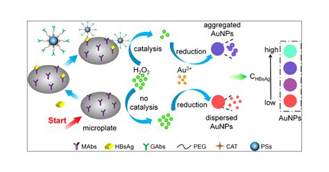 Naked Eye Detection Of Hepatitis B Surface Antigen Using OFF